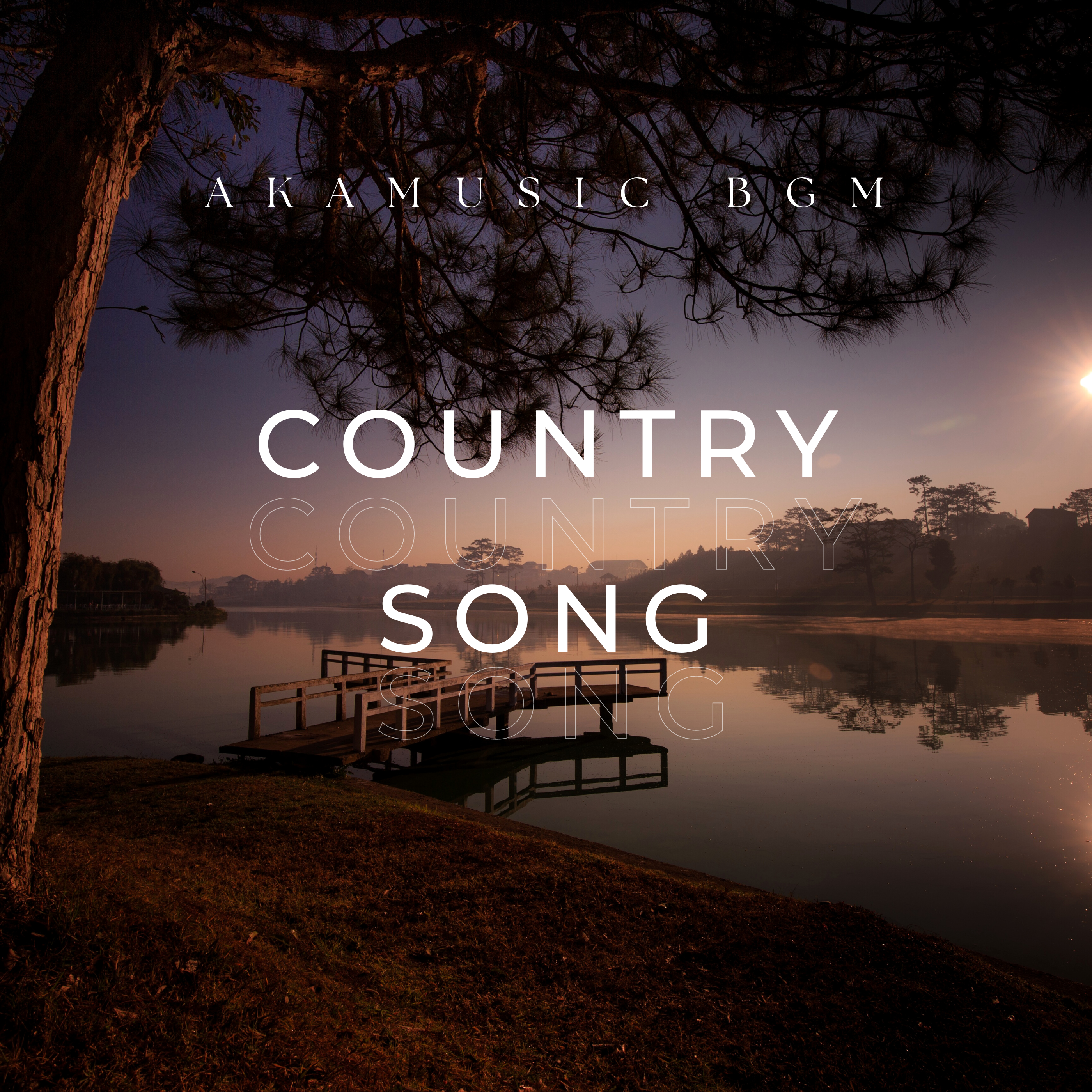 COUNTRY SONG cover